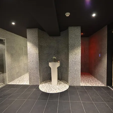 Toison D'or By Ihg 4* Dijon