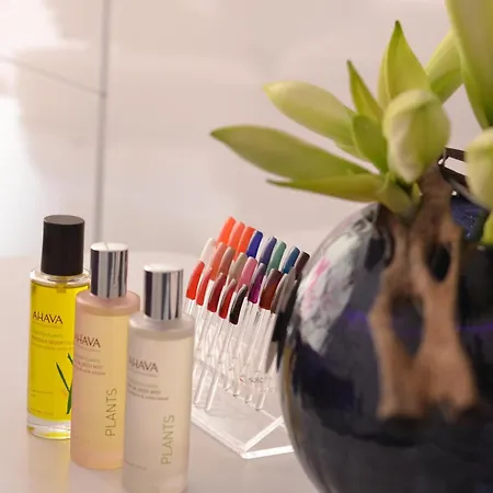 홀리데이 인 토이손 도르