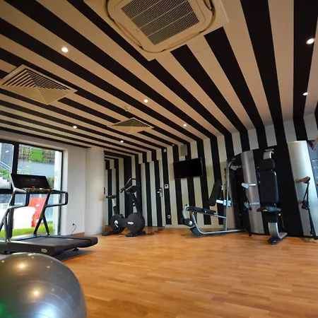 호텔 홀리데이 인 토이손 도르