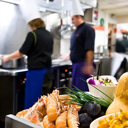 홀리데이 인 토이손 도르 4* 디종