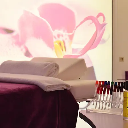 호텔 홀리데이 인 토이손 도르 4*