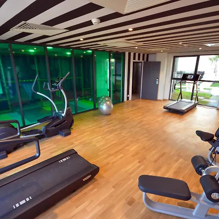 홀리데이 인 토이손 도르 호텔 4*