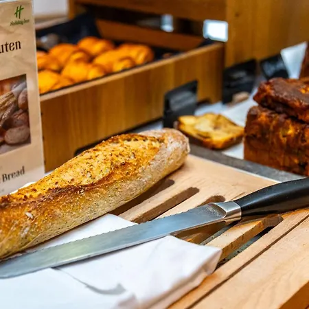 홀리데이 인 토이손 도르 4*