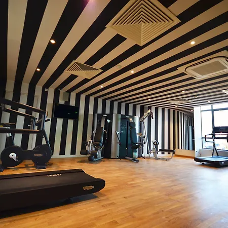 홀리데이 인 토이손 도르 호텔 디종