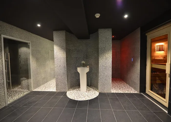 Toison D'or By Ihg 4* Dijon