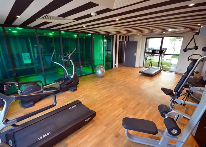 Toison D'or By Ihg Hotel 4*