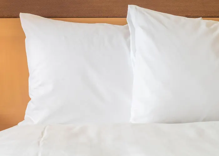 Toison D'or By Ihg Hotel